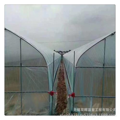 温室大棚设计与安装成本解析 一亩蔬菜大棚骨架多少钱？