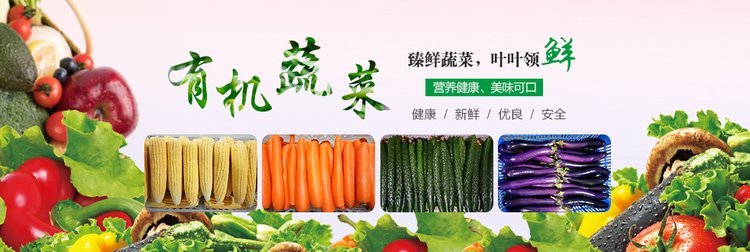 厚街蔬菜批发 从自有基地到大型配送中心的全产业链食材服务